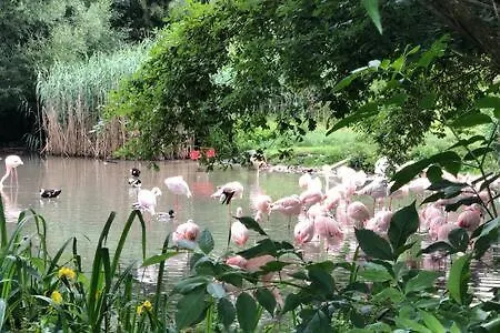 Stadtnaehe Und Doch Mitten In Der Natur Salzburg 0*,  Austria